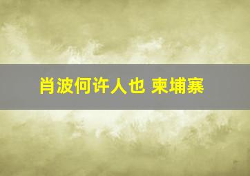 肖波何许人也 柬埔寨